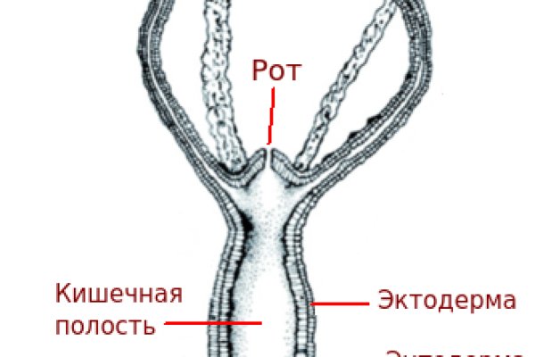 Ссылка на кракен 15ат